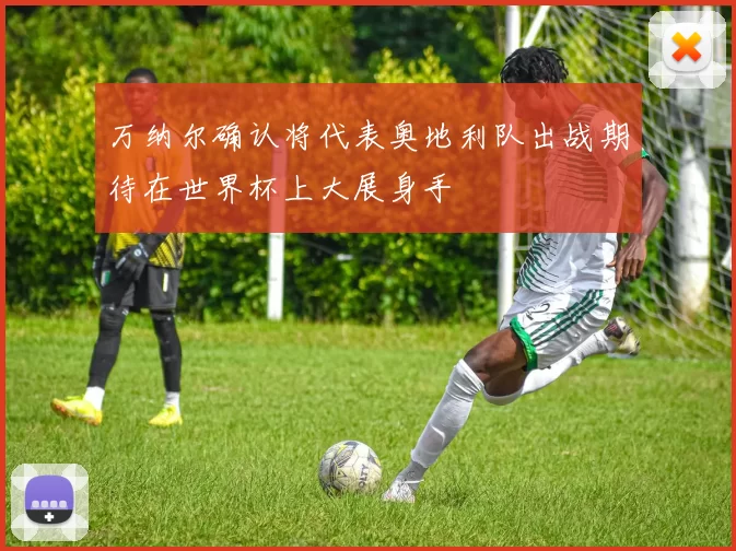 万纳尔确认将代表奥地利队出战期待在世界杯上大展身手